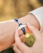 Whale Tail - Blue - BraceletsArcticusBako