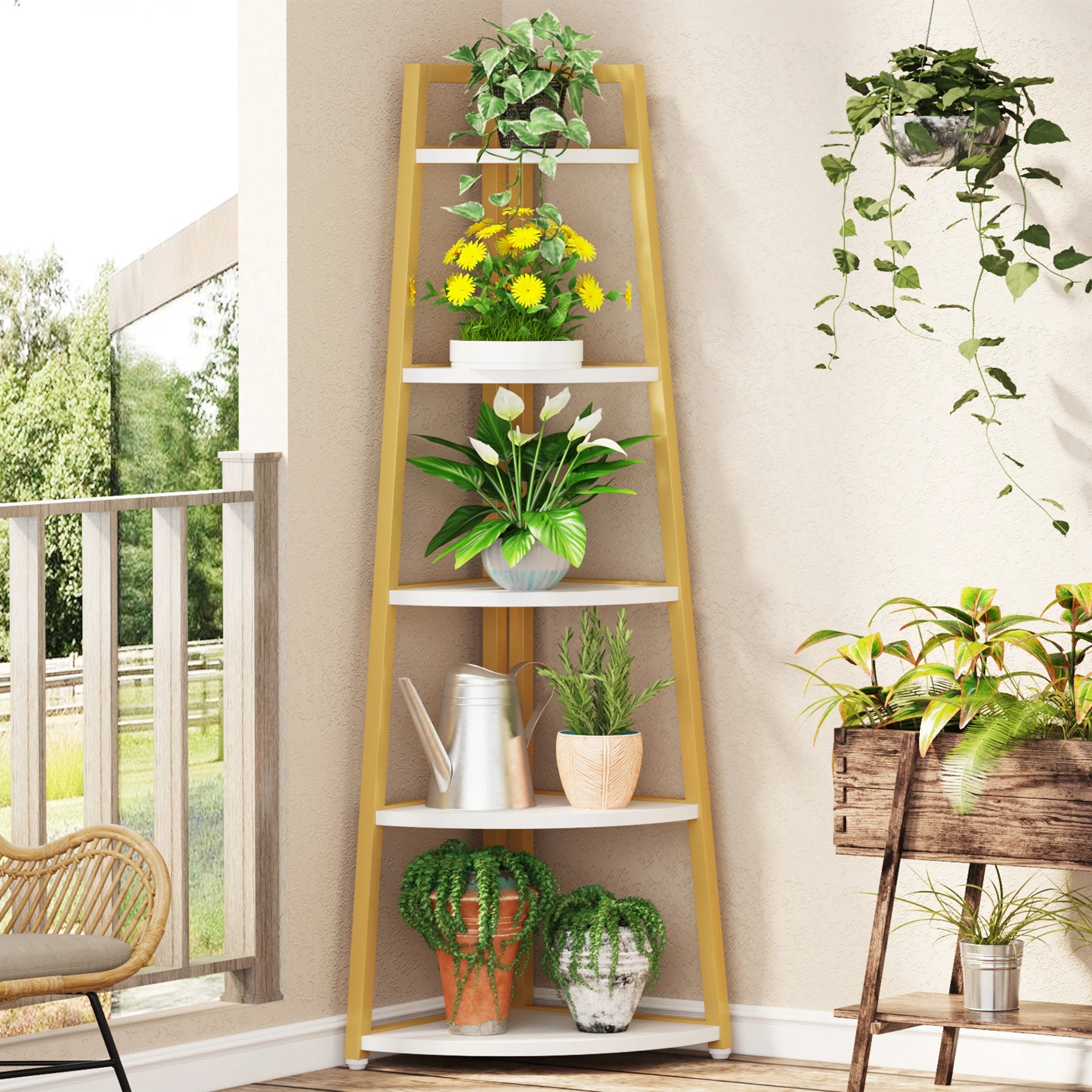 Tribesigns Bookcase Corner Book Shelf Rack Wood Bookshelf Storage Shelves - Bako Bako