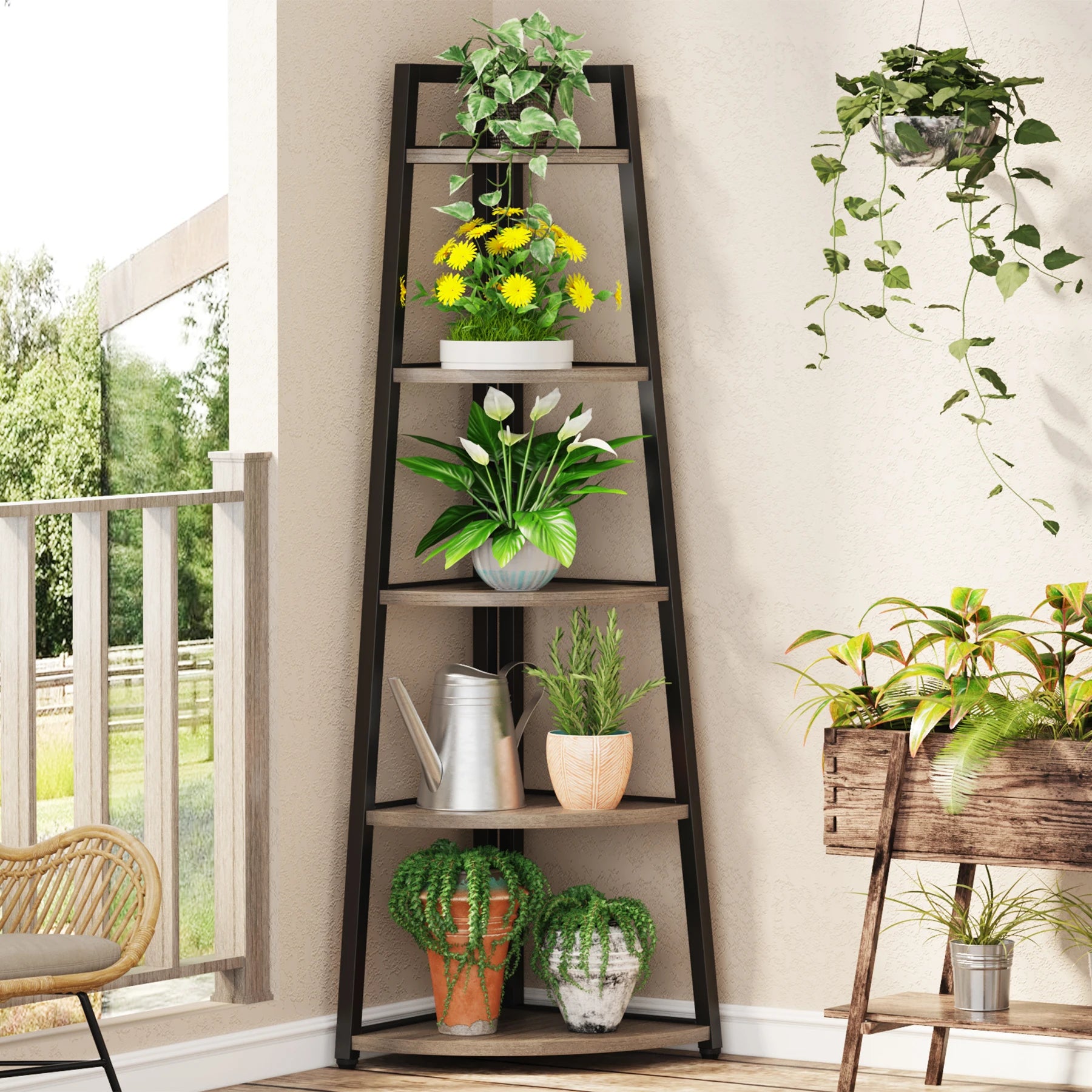 Tribesigns Bookcase Corner Book Shelf Rack Wood Bookshelf Storage Shelves - Bako Bako