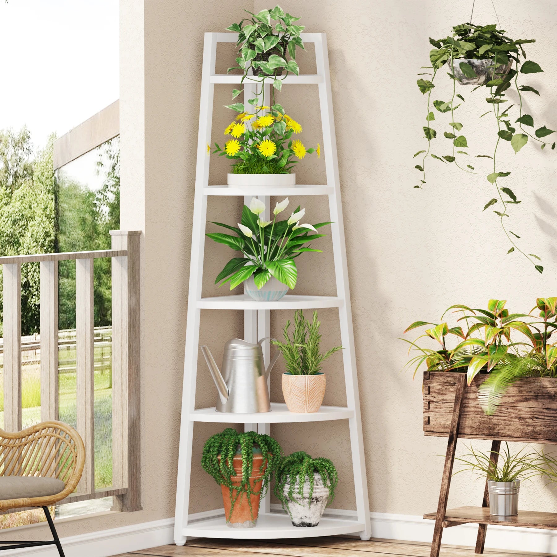 Tribesigns Bookcase Corner Book Shelf Rack Wood Bookshelf Storage Shelves - Bako Bako