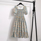 Spring Summer Chiffon Dresses Fashion Female Elastic Waist Short Sleeve Pleated Casual Dress Women A - line Dresses Vestidos - Bako Bako